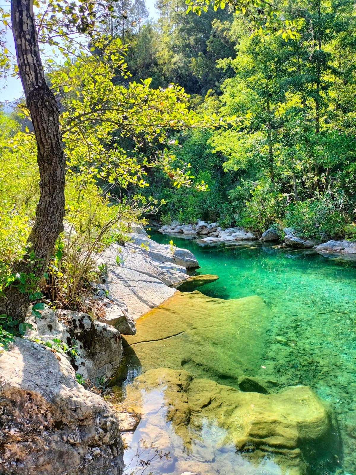 Dim Çayı: Alanya's Riverside Escape in the Mountains